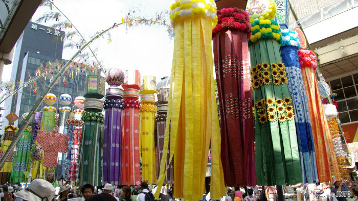 Festival das Estrelas